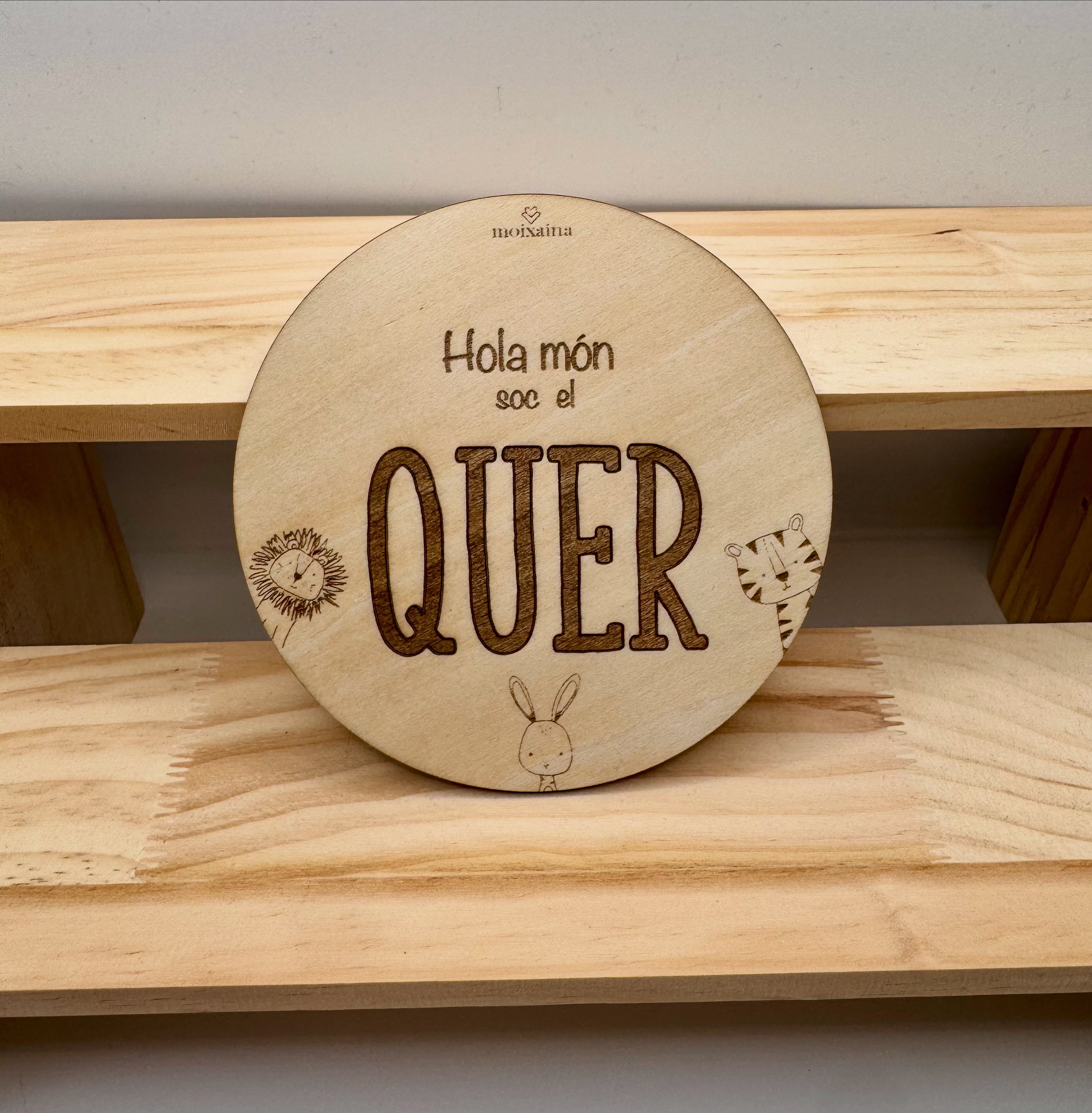 Placa bienvenido al mundo