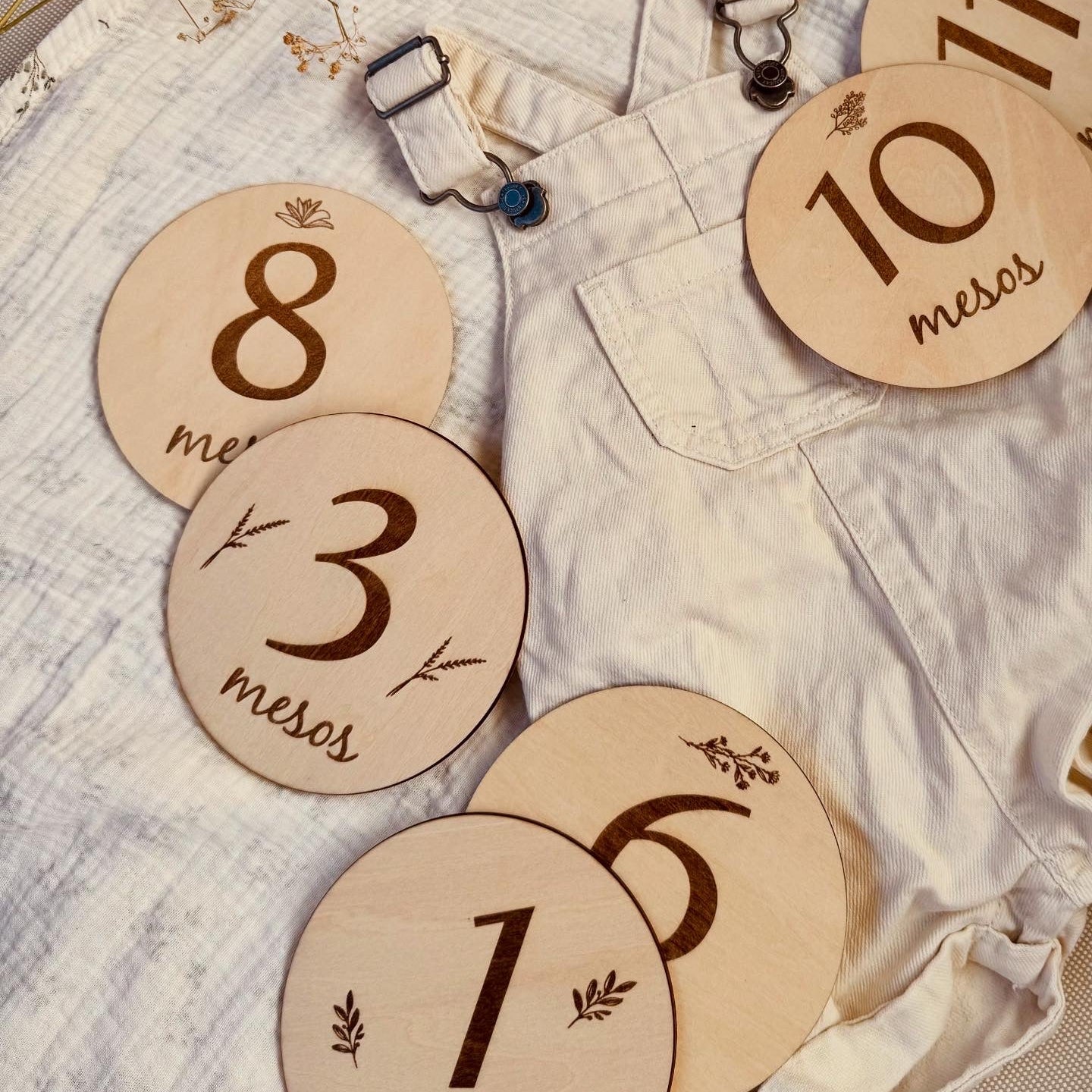 Conjunto de placas 12 meses bebé